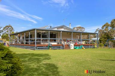Farm For Sale - NSW - Moruya - 2537 - Country living with Coastal benefits…..47.61ha !  (Image 2)