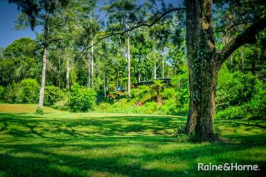 Farm Sold - NSW - Kalang - 2454 - "RIVER SONG"  (Image 2)