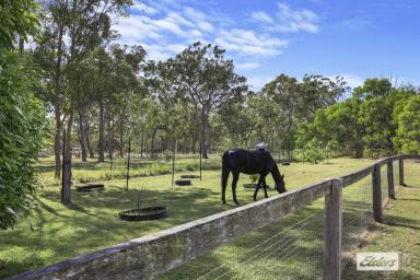 Farm Sold - QLD - Pacific Haven - 4659 - Uncover the Idyllic Charm of Country Living  (Image 2)