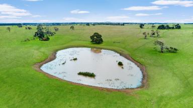 Farm For Sale - VIC - Minhamite - 3287 - Blank canvas in sought after farm country  (Image 2)