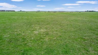 Farm For Sale - VIC - Minhamite - 3287 - Blank canvas in sought after farm country  (Image 2)