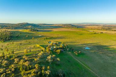 Farm Sold - NSW - Canowindra - 2804 - GOLDEN OPPORTUNITY – GRAZING & HIGH QUALITY CROPPING COUNTRY  (Image 2)