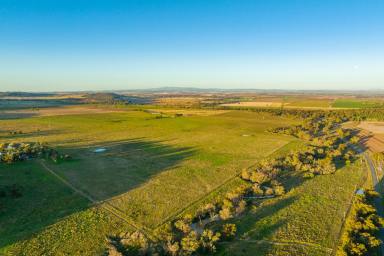 Farm Sold - NSW - Canowindra - 2804 - GOLDEN OPPORTUNITY – GRAZING & HIGH QUALITY CROPPING COUNTRY  (Image 2)