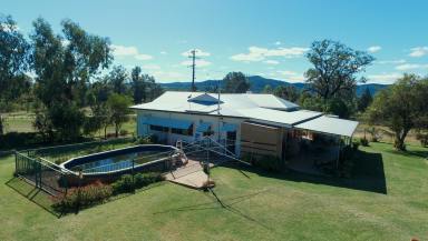 Farm For Sale - NSW - Bingara - 2404 - Acreage REDUCED Sell!  (Image 2)