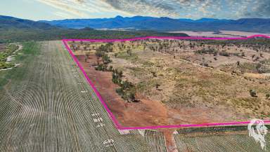 Farm For Sale - NSW - Narrabri - 2390 - 390 ACRES OF FARMING, GRAZING AND RECREATIONAL COUNTRY  (Image 2)