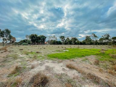 Farm For Sale - VIC - Kerang - 3579 - Country Living  (Image 2)
