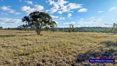 Farm Sold - NSW - Obley - 2868 - Lifestyle Grazing Property With River Frontage  (Image 2)