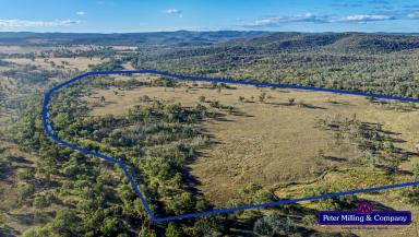 Farm Sold - NSW - Obley - 2868 - Lifestyle Grazing Property With River Frontage  (Image 2)