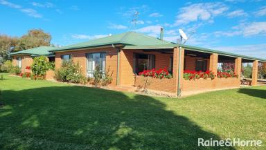 Farm For Sale - NSW - Young - 2594 - HIGH QUALITY ACREAGE  (Image 2)