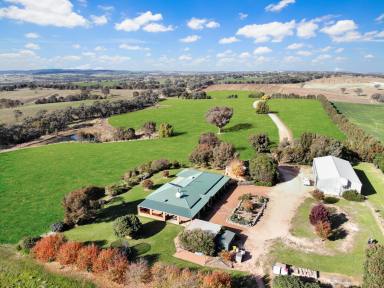 Farm For Sale - NSW - Young - 2594 - HIGH QUALITY ACREAGE  (Image 2)