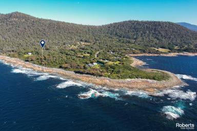 Farm Sold - TAS - Bicheno - 7215 - Sunshine Filled Coastal Escape  (Image 2)