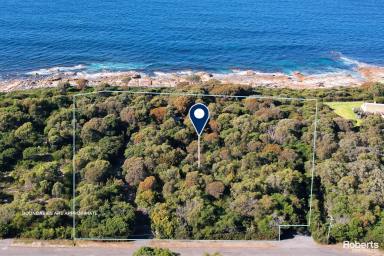 Farm Sold - TAS - Bicheno - 7215 - Sunshine Filled Coastal Escape  (Image 2)