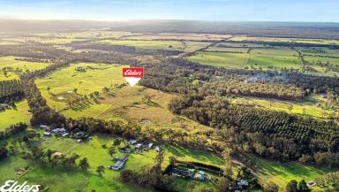 Farm For Sale - VIC - Woodside - 3874 - PEACE AND QUIET AT WOODSIDE  (Image 2)