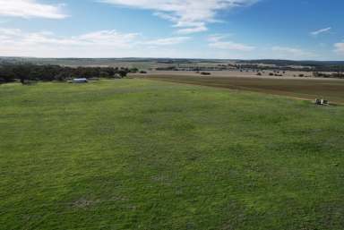 Farm Sold - WA - Beverley - 6304 - Perfect blend of Natural Bushland and Arable land                          53.21ha  (Image 2)