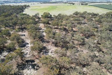 Farm For Sale - WA - Beverley - 6304 - Perfect blend of Natural Bushland and Arable land                          53.21ha  (Image 2)