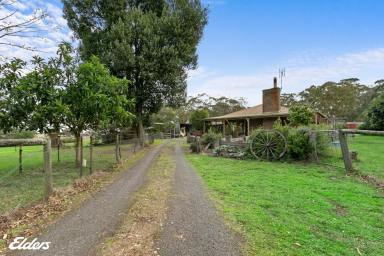 Farm Sold - VIC - Woodside - 3874 - PERFECT POSITION AT WOODSIDE  (Image 2)