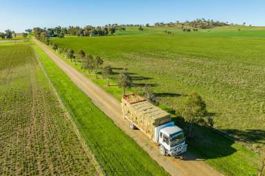 Farm Sold - NSW - Canowindra - 2804 - 860AC* BLUE RIBBON FARMING & GRAZING PROPERTY  (Image 2)