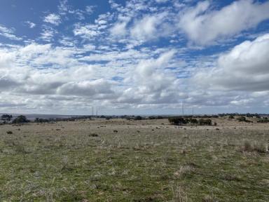 Farm Sold - SA - Tungkillo - 5236 - 31 Ha, productive country with shed and bore, well fenced. Wonderful views, peace and space. Build your country home (STCC) and enjoy!  (Image 2)