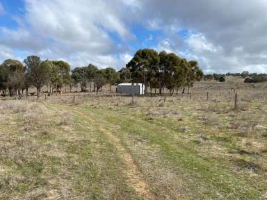 Farm Sold - SA - Tungkillo - 5236 - 31 Ha, productive country with shed and bore, well fenced. Wonderful views, peace and space. Build your country home (STCC) and enjoy!  (Image 2)