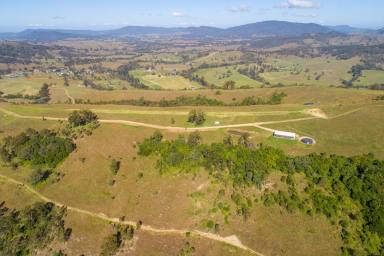 Farm Sold - NSW - Gresford - 2311 - Forever View  (Image 2)