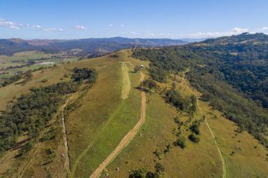 Farm Sold - NSW - Gresford - 2311 - Forever View  (Image 2)