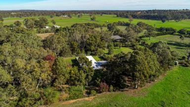 Farm Sold - SA - Naracoorte - 5271 - 83.8 Acres, Stunning Red gum Country, Creek Frontage  (Image 2)