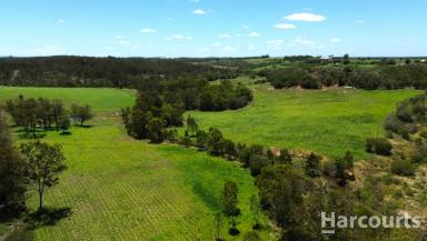Farm For Sale - QLD - North Isis - 4660 - Over 120 ACRES OF PICTURESQUE VALLEY!!!  (Image 2)