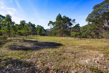 Farm Sold - VIC - Beaufort - 3373 - STUNNING 20 ACRES ONLY 5 MINUTES FROM BEAUFORT TOWNSHIP  (Image 2)