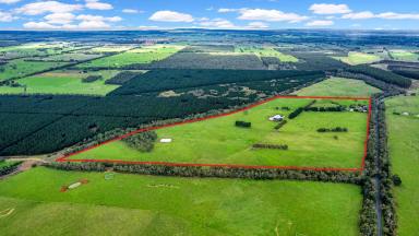 Farm Sold - VIC - Heywood - 3304 - An attractive and productive semi-sustainable small farm situated 6km to Heywood  (Image 2)
