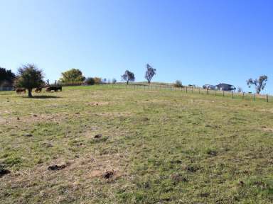 Farm For Sale - VIC - Benambra - 3900 - YOUR OWN PIECE OF THE HIGH COUNTRY.  (Image 2)