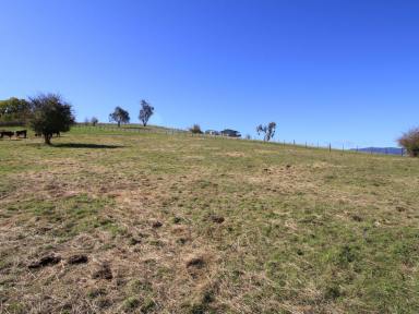 Farm For Sale - VIC - Benambra - 3900 - YOUR OWN PIECE OF THE HIGH COUNTRY.  (Image 2)