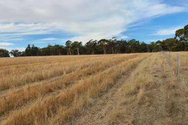 Farm Sold - WA - Mindarra - 6503 - Mixed Use Farm with Multiple Lots  (Image 2)