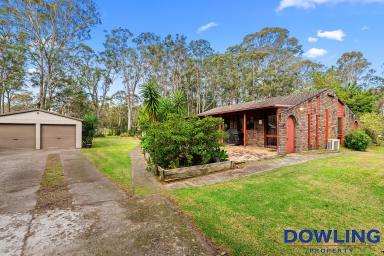 Farm Sold - NSW - Medowie - 2318 - THIS COULD BE THE TREE CHANGE YOU HAVE BEEN LOOKING FOR!  (Image 2)