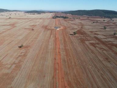 Farm Sold - NSW - Condobolin - 2877 - Diversity of Enterprise & Irrigation Development Upside  (Image 2)