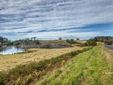 Farm Sold - TAS - Nietta - 7315 - Massive 17.45ha Block with Abundant Water Supply  (Image 2)