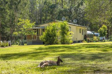 Farm Sold - NSW - New Italy - 2472 - Charming Cottage Surrounded by Bush  (Image 2)