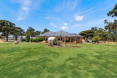 Farm For Sale - VIC - Wallaloo East - 3387 - Lifestyle Living on 12 Acres  (Image 2)