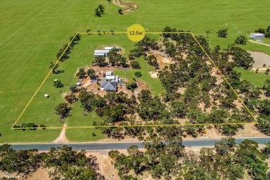 Farm For Sale - VIC - Wallaloo East - 3387 - Lifestyle Living on 12 Acres  (Image 2)