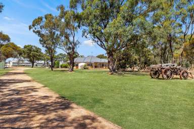 Farm For Sale - VIC - Wallaloo East - 3387 - Lifestyle Living on 12 Acres  (Image 2)