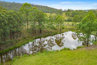 Farm For Sale - NSW - Weismantels - 2415 - 2 FOR 1!  (Image 2)