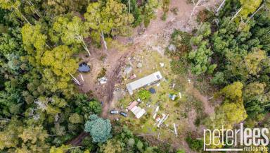 Farm For Sale - TAS - Lilydale - 7268 - Your Off Grid Lifestyle Awaits!  (Image 2)