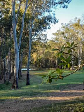 Farm Sold - QLD - Bollier - 4570 - Tranquil solitude so close to town  (Image 2)