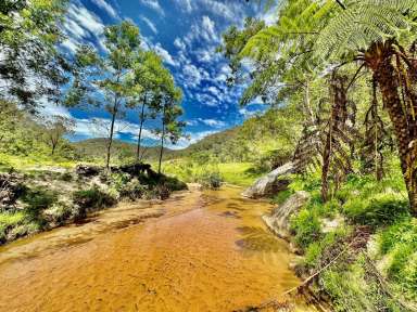 Farm For Sale - NSW - Laguna - 2325 - 119 Acres of Adventure!  (Image 2)