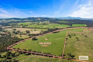 Farm Sold - VIC - Moyston - 3377 - Quality Grazing/Cropping/Grampians Views- 160 acres approx  (Image 2)