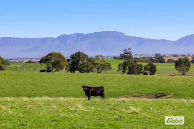 Farm Sold - VIC - Moyston - 3377 - Quality Grazing/Cropping/Grampians Views- 160 acres approx  (Image 2)