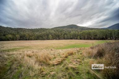 Farm Sold - VIC - Omeo - 3898 - Over 600 acres with approximately 125 cleared.  (Image 2)
