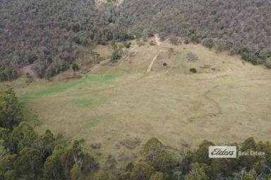 Farm Sold - VIC - Omeo - 3898 - Over 600 acres with approximately 125 cleared.  (Image 2)