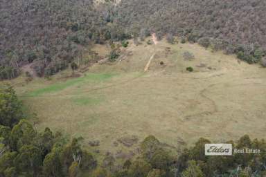 Farm Sold - VIC - Omeo - 3898 - Over 600 acres with approximately 125 cleared.  (Image 2)