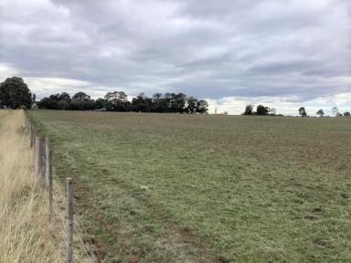Farm Sold - VIC - Kooroocheang - 3364 - Mixed Farming; Approx. 170 Ha (420 acres); 3 Titles; Compact Residence; Domestic Bore  (Image 2)
