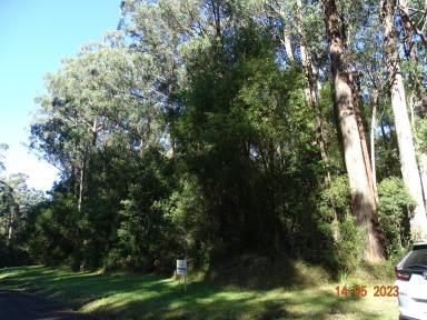 Farm For Sale - VIC - Lavers Hill - 3238 - Retains the natural environment  (Image 2)